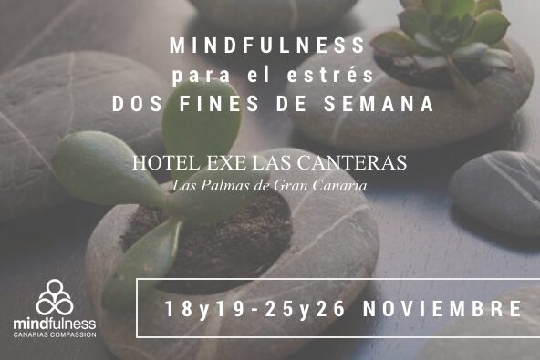 Mindfulness para el estrés en dos fines de semana