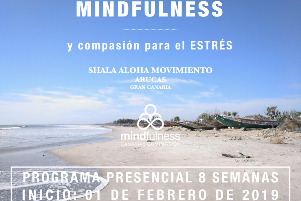 CARTELES PROGRAMAS 2019.002