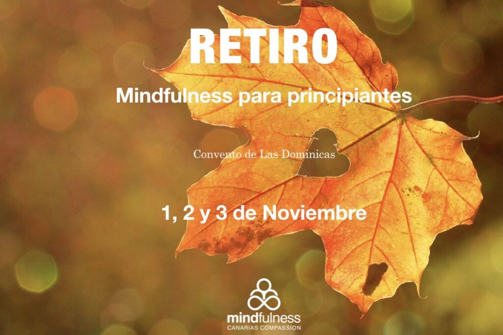 Retiro M&C Dominicas noviembre.001