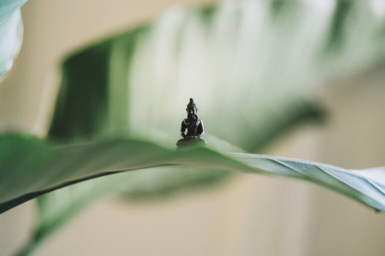 Retiro espiritual para Elevar tu Vibración