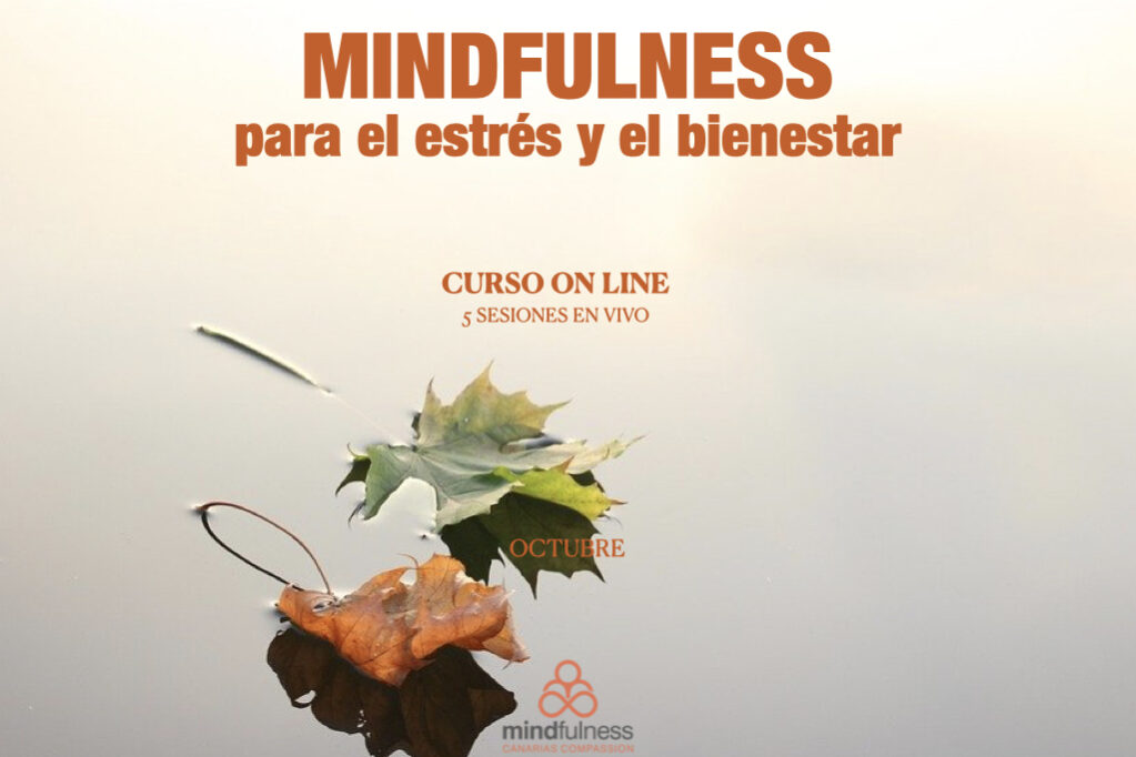 CURSOS 20:21 ON LINE MCC.002