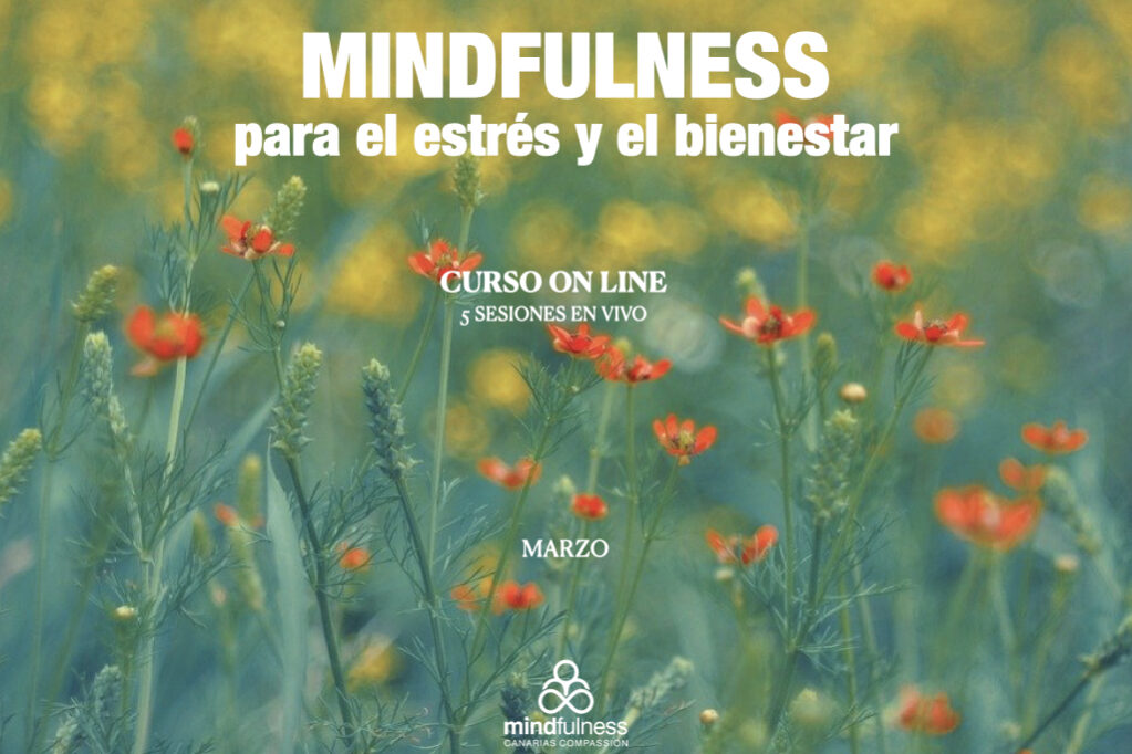 CURSOS 20:21 ON LINE MCC.007