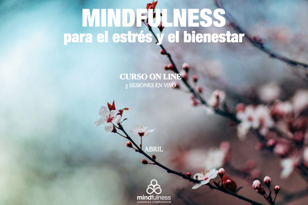 CURSOS 20:21 ON LINE MCC.008