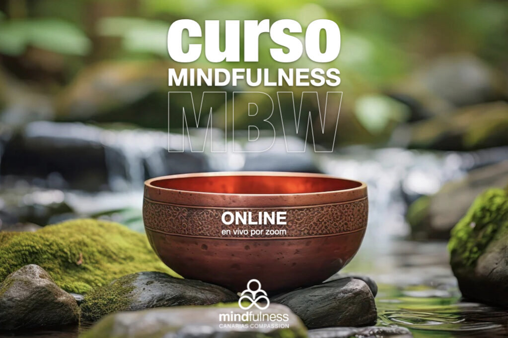 Formación profesional en Mindfulness para Recursos Humanos