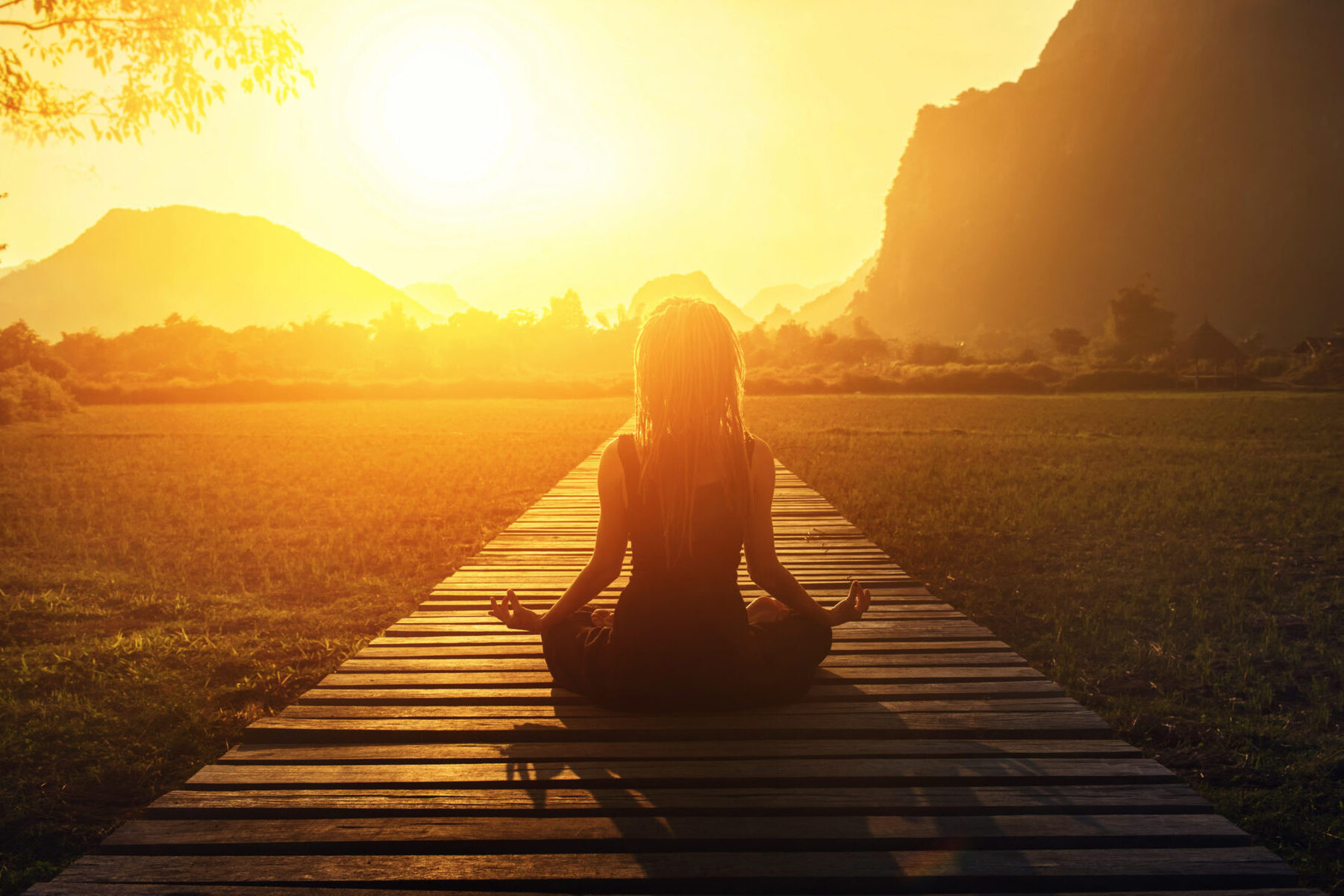 Cómo convertirte en profesional de la meditación Cómo convertirte en profesional de la meditación