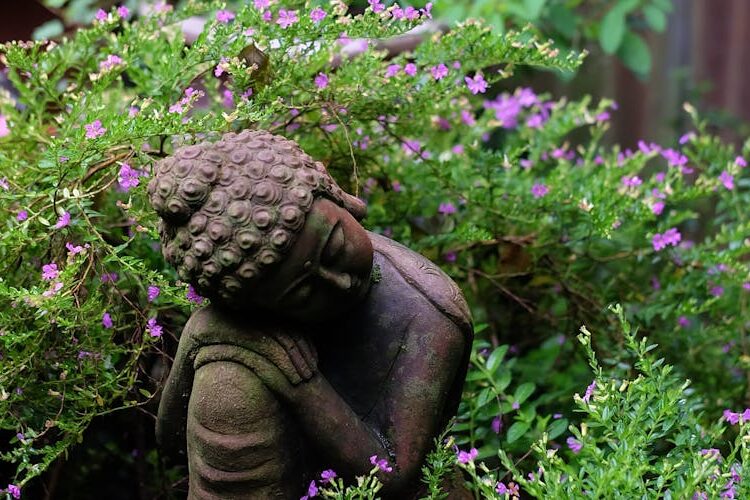 Experiencias transformadoras con Mindfulness